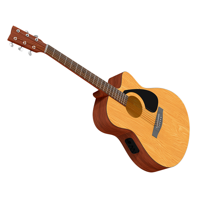 Guitar Music Party Fun  - rahulbadhan / Pixabay