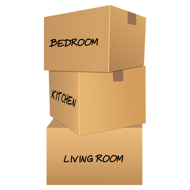 Moving Boxes Carton Boxes  - gracheli / Pixabay